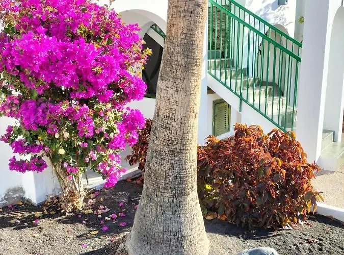 Casa De Guacimeta Appartement Puerto del Carmen (Lanzarote)