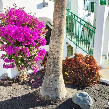 Casa De Guacimeta Apartamento Puerto del Carmen (Lanzarote)